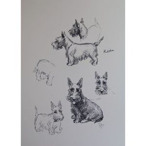 Lucy Dawson Dog Print Scottish Terrier Scotty Scottie 90680